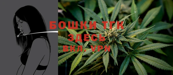 шишки Волосово