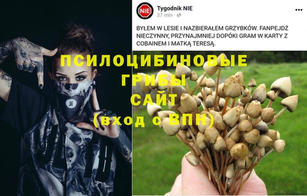 дмт Верея