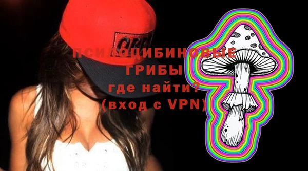 дмт Верея