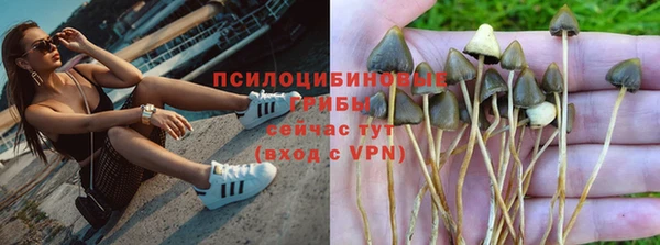 дмт Верея